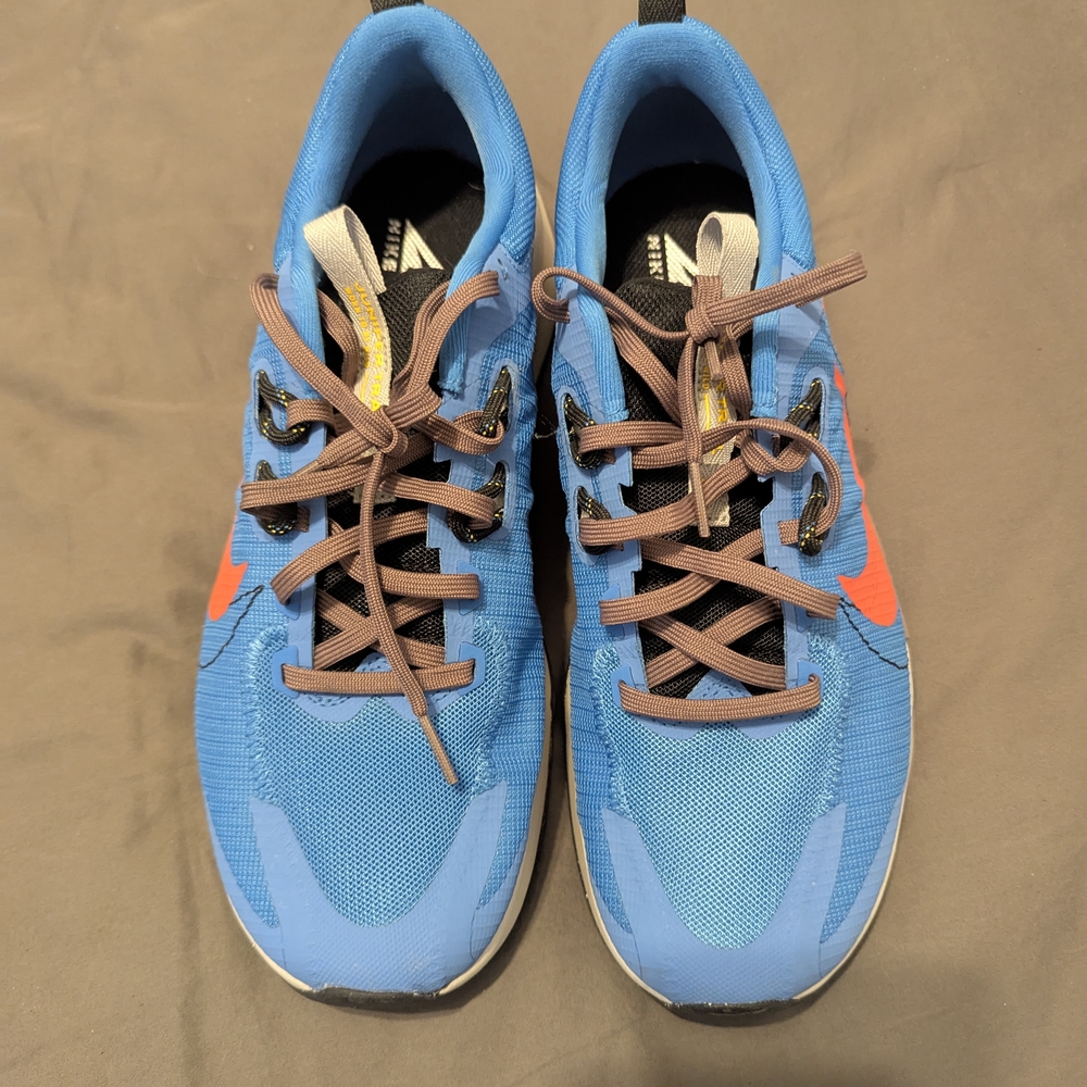 Nike Men's Blue Running Shoes